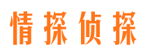 富锦侦探公司